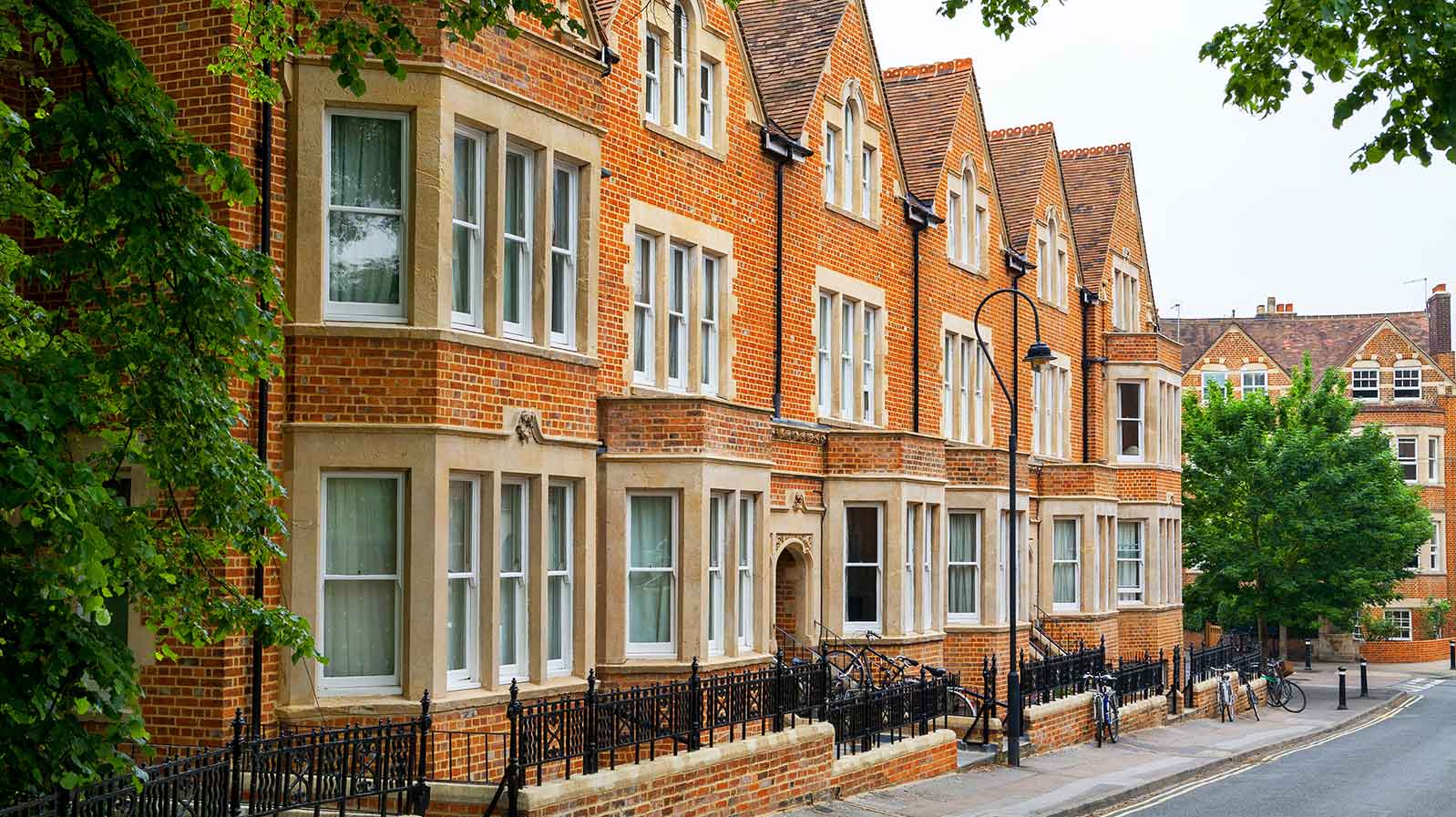 image column 3 module_17443726211543